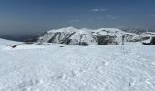 Tour Schneeschuhwandern Ilonse - Lauvet d’Ilonse - Photo 7