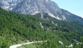 Percorso A piedi Kranjska Gora - stara vršiška cesta - Photo 4