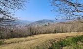 Tocht Stappen Munster - Gunsbach & le sentier Schweitzer par Haslach - Photo 6