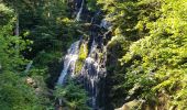 Tocht Stappen Le Tholy - les cascades - Photo 3