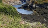 Excursión Senderismo Sauzon - pointe des poulains - Photo 11