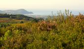 Trail Walking Le Castellet - Trace_Ste_Anne - Photo 15