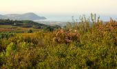 Percorso Marcia Le Castellet - Trace_Ste_Anne - Photo 15