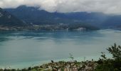 Excursión Senderismo Annecy - SEMNOZ boucle depuis visitation - Photo 3