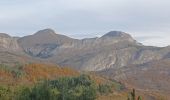 Percorso Marcia Hautes-Duyes - AURIBEAU,  Champ de Barras . col d Ainac o l s - Photo 11