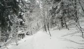 Randonnée Raquettes à neige Sewen - SewenWissgrutFennmatt - Photo 13