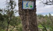 Tour Wandern Roquebrune-sur-Argens - z les bois de Roquebrune 20-11-18 - Photo 7