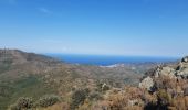 Trail Walking Banyuls-sur-Mer - 22 08 / 8-9-10 Oli40 - épisode 1 - Photo 16