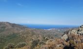 Tour Wandern Banyuls-sur-Mer - 22 08 / 8-9-10 Oli40 - épisode 1 - Photo 16