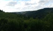 Trail Horseback riding Bouillon - Dohan - Photo 2