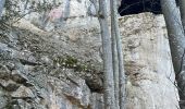 Trail  Saint-Julien-en-Vercors - Moulin marquis  - Photo 9