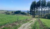 Excursión Bicicleta híbrida Vresse-sur-Semois - Pussemange Bouillon - Photo 1