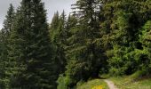 Excursión Senderismo Arâches-la-Frasse - Les Carroz tête des Saix boucle - Photo 11