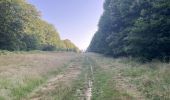 Percorso Marcia Villers-Cotterêts - en Forêt de Retz_95_07_2025_autour de l'Allée Royale - Photo 4
