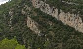 Randonnée Marche Cabasse - les dolmens 3 - Photo 5
