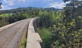 Excursión Bici eléctrica Le Puy-en-Velay - le puy en Velay est / les Estables  - Photo 12