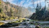 Randonnée Marche Houffalize - La vallée des fées à Houffalize - Photo 1