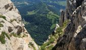 Trail Walking Gresse-en-Vercors - Grand Veymond de Gresse en Vercors - Photo 2