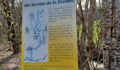 Percorso Marcia Saint-Basile - route du bosc les sources des d'unieres  - Photo 1
