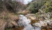 Excursión A pie Roquebrune-sur-Argens - Lac des Clos-Roquebrune/Argens-01-03-23 - Photo 10