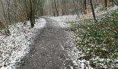 Tocht Stappen Hoei -  Promenade de  l'ail des ours  - Photo 1