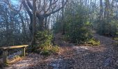 Trail Walking Liège - autour de Streupas - Photo 15