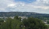 Randonnée Marche Lamanon - Cales - Photo 8