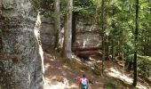 Excursión Senderismo Angomont - Le champ de bataille de la Chapelotte - Photo 5