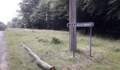 Tocht Stappen Saint-Hubert - arville 290720 - Photo 1