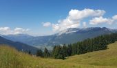 Tour Wandern Le Grand-Bornand - Le Grand Bornand Les Confins - Photo 3