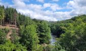 Trail Walking Florenville - rando chassepierre 12-07-2023 - Photo 11