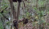 Trail Walking Crouy-sur-Ourcq - Marais de Negando et le Clignon depuis Crouy sur Ourcq - Photo 2