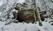 Randonnée Marche Dabo - col de la schlief - Photo 4