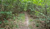 Excursión Senderismo Villiers-sur-Loir - Villiers-sur-Loir Randonnée des Coteaux - Photo 11