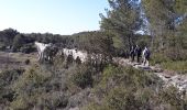 Trail Walking Teyran - Teyran source acqueduc de Castries  - Photo 8