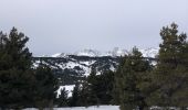 Randonnée Raquettes à neige Font-Romeu-Odeillo-Via - 20210107 raquettes à Pyrenee 2000 - Photo 3