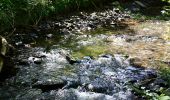 Tour Zu Fuß Bendorf - Wäller Tour Brexbachschluchtweg - Photo 3