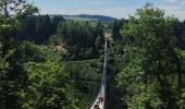Excursión Senderismo Altstrimmig - A la découverte du pont de Geierlay - Photo 8