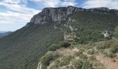 Trail Walking La Farlède - sommet du Coudon en partant de La Farlède - Photo 5