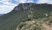 Excursión Senderismo La Farlède - sommet du Coudon en partant de La Farlède - Photo 5