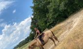 Trail Horseback riding Saint-Apollinaire-de-Rias - St Appollinaire de Rias au top 👍 - Photo 1
