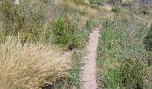 Trail Walking Le Barroux - Les Crêtes du Graveyron par l'écluse de la Falque - Photo 6