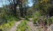 Tour Wandern Collobrières - SityTrail - chapelle st guillaume  - Photo 1