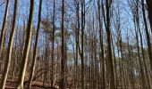 Tour Wandern Halle - Bois de Halle - Photo 5