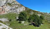 Tour Wandern Cangas de Onís - Covadonga tour des lacs  - Photo 10