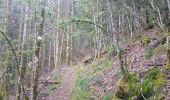 Trail Walking Wegscheid - Sattelboden Stahlberg - Photo 1