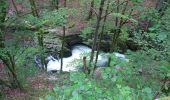 Trail Walking Les Planches-en-Montagne - Les Planches en Montagne Gorges de la Langouette  - Photo 6