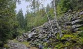 Tour Wandern Chamonix-Mont-Blanc - J9 - Petit Balcon Sud : Les Praz de Chamonix - Argentière - Photo 5