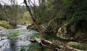 Tour Wandern Barjols - ste madeleine  - Photo 17