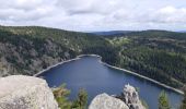 Randonnée Marche Orbey - Tour de lac Noir et du Lac Blanc  - Photo 5